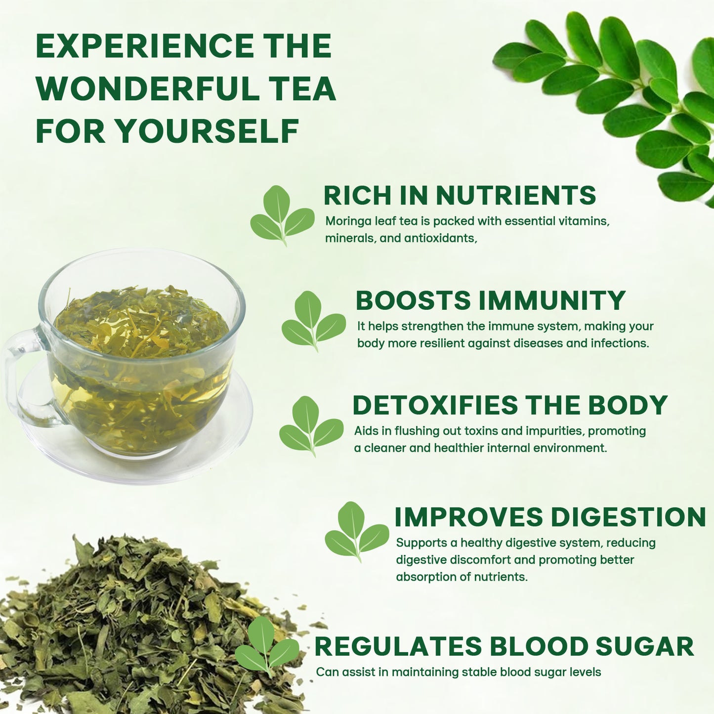 Moringa Leaf Tea Bag
