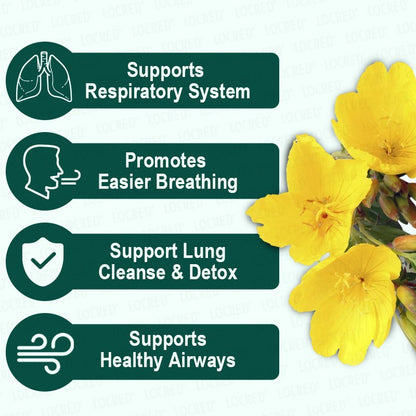 Mullein Lung Support Tea Bags