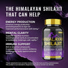 Himalayan Shilajit Gummies Blueberry Flavor