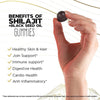 Shilajit + Black Seed Oil Gummies