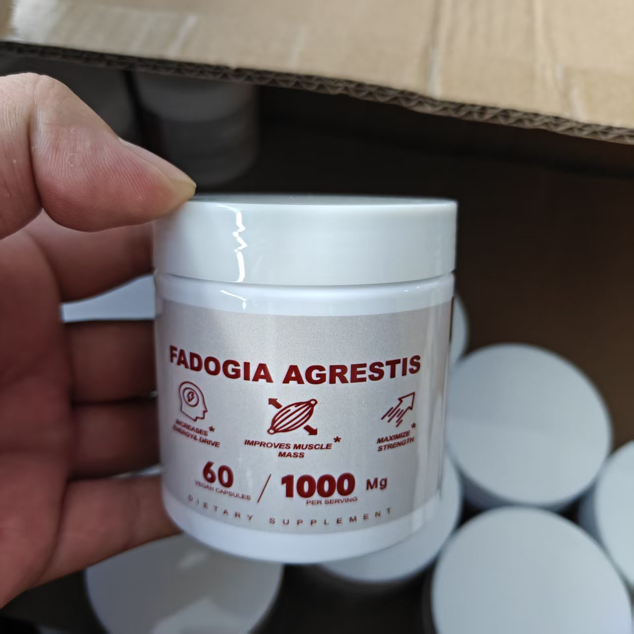 Dietary Supplements Fish Oil Probiotics Protein Powder